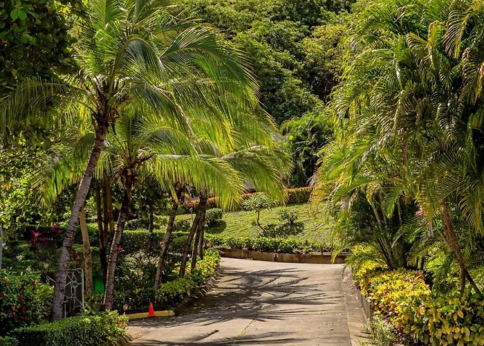 Cielo - 1br - With 3 Shared Pools, And Access * Playa Ocotal